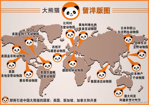 丹麦女王访华 中国将向丹赠送两只熊猫 盘点中国熊猫外交史