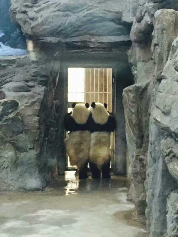 让我们看看外面的世界