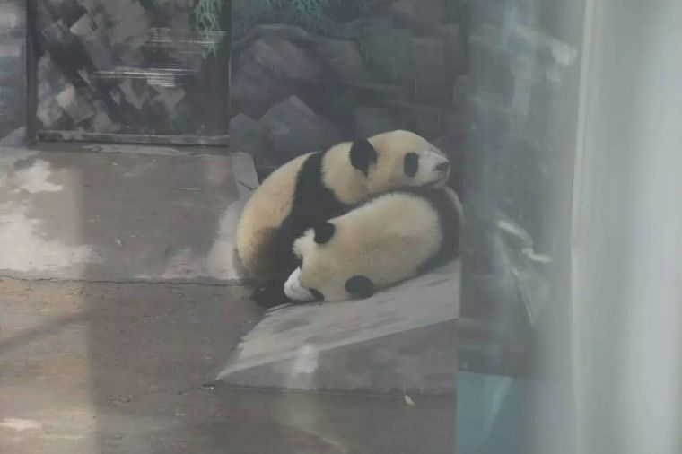 相亲相爱