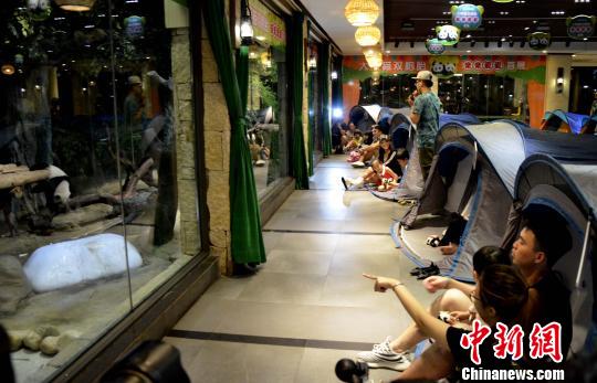 广州长隆推出“夜宿熊猫馆”项目